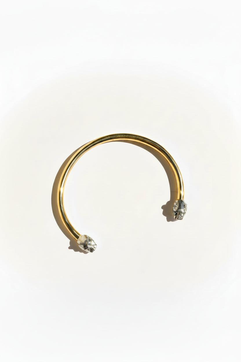 Collar Pantera Bicolor
