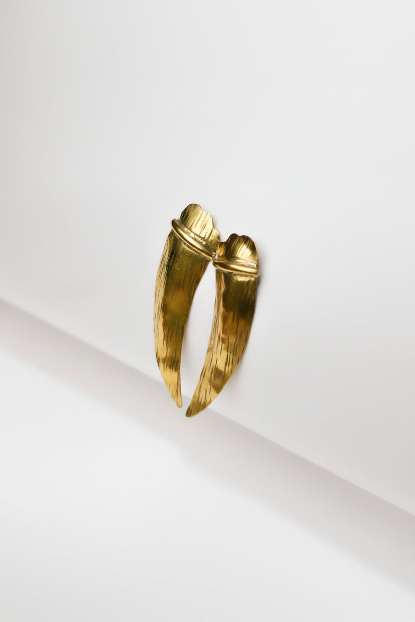 Aros Garra Bronce