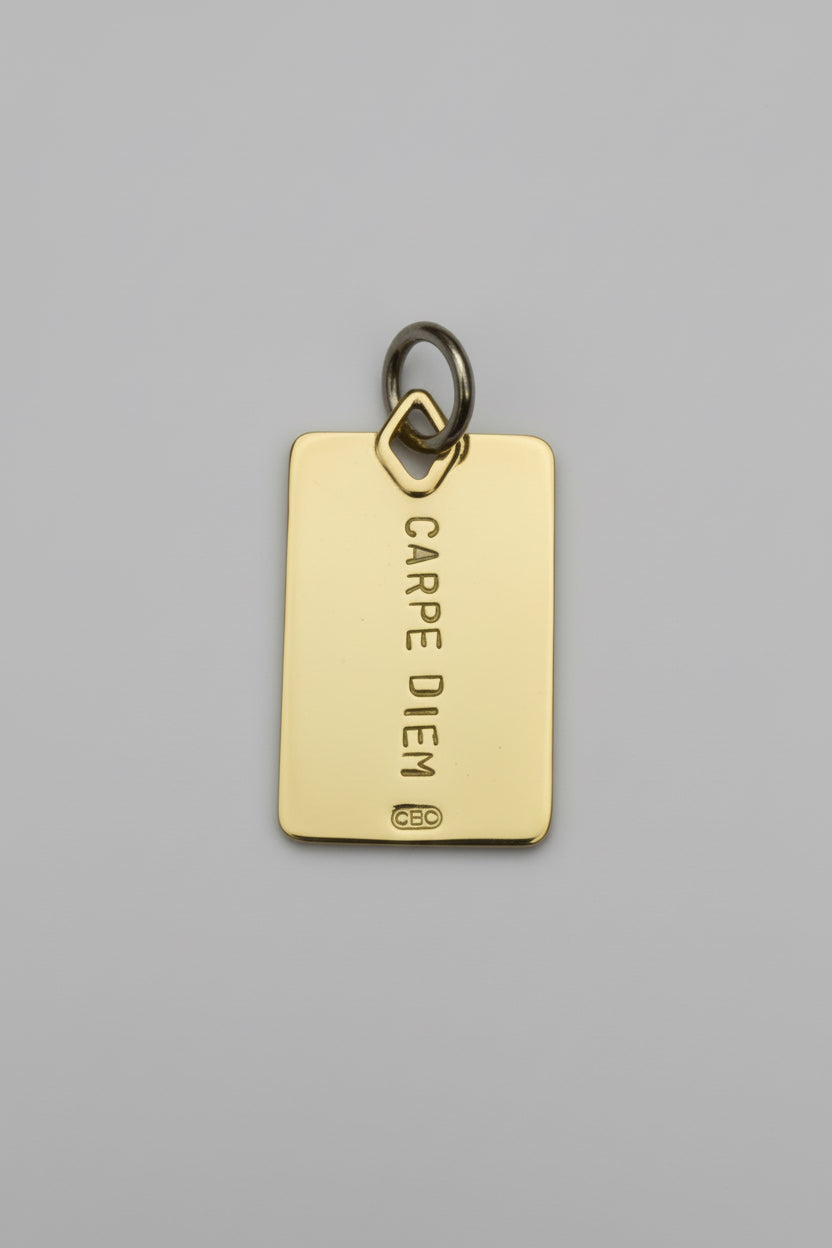 Placa Carpe Diem Bronce