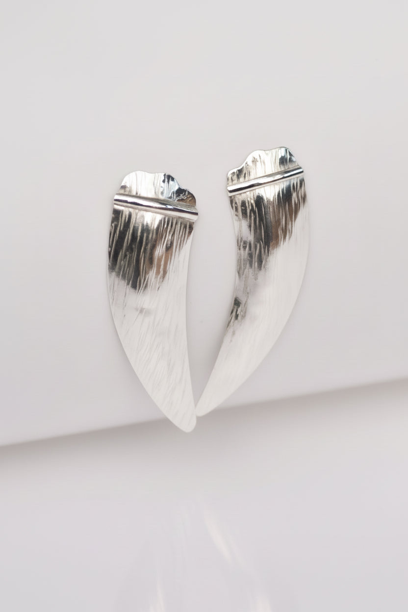 Aros Garra Plata