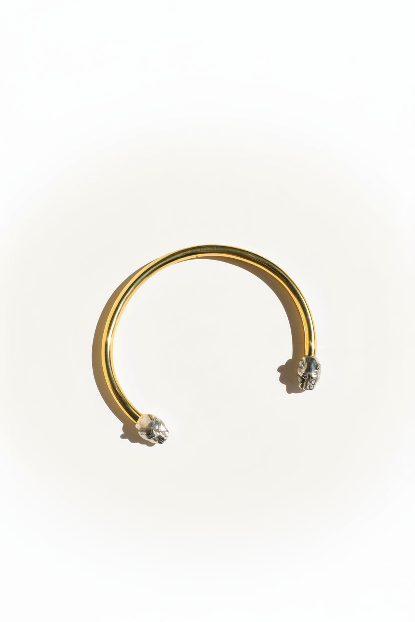 Collar Pantera Bicolor