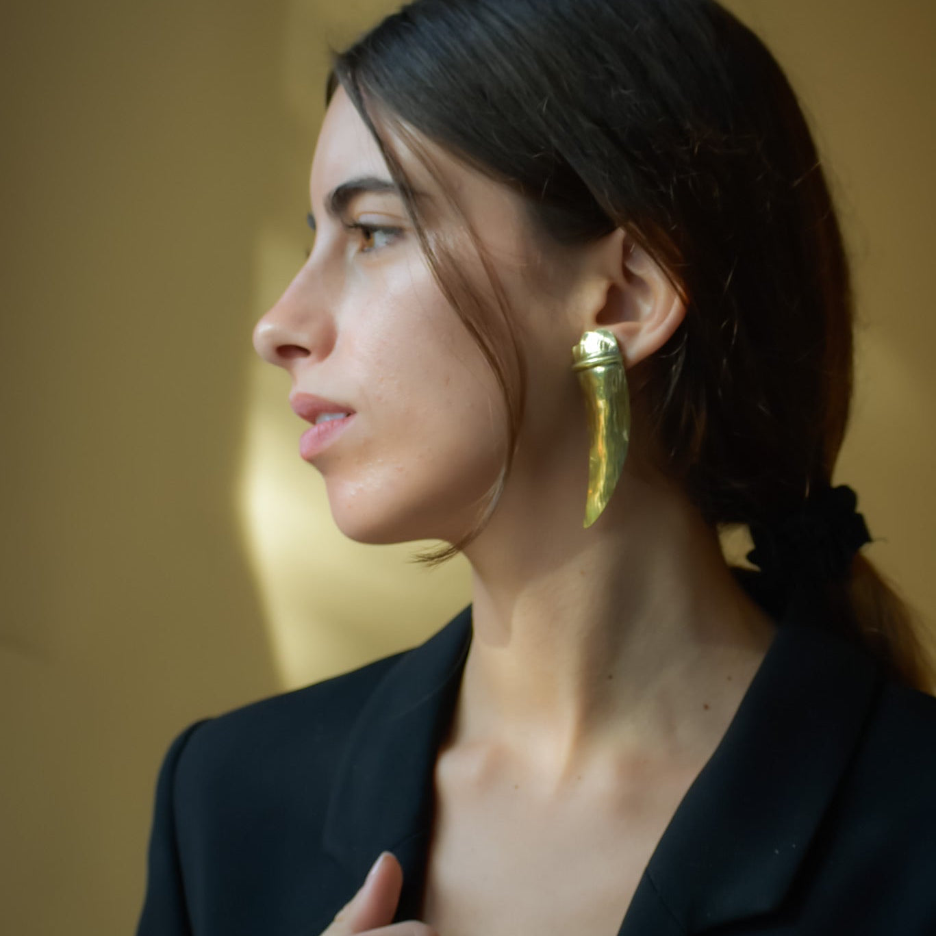 Aros Garra Bronce