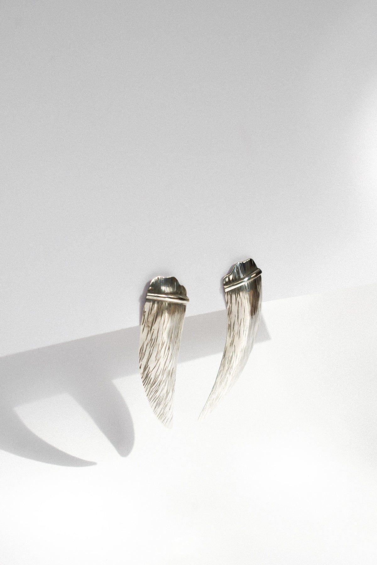 Aros Garra XS Plata